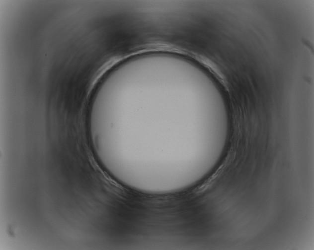 X0000098041318200804251030