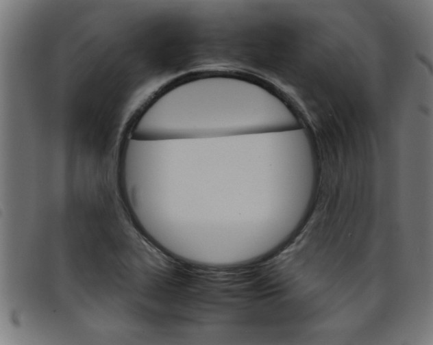 X0000098041319200804251030