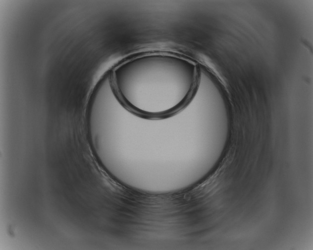 X0000098041320200804251030