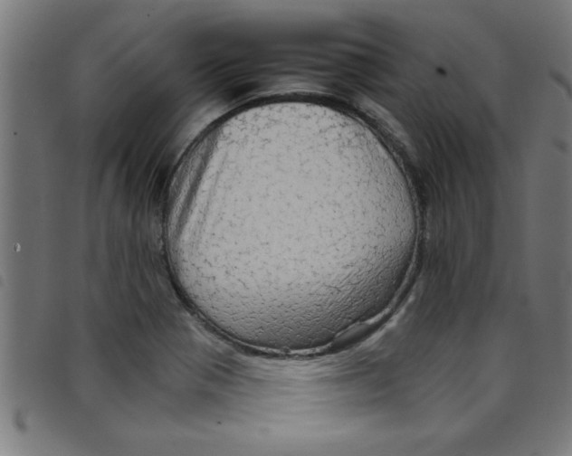 X0000098041321200804251030