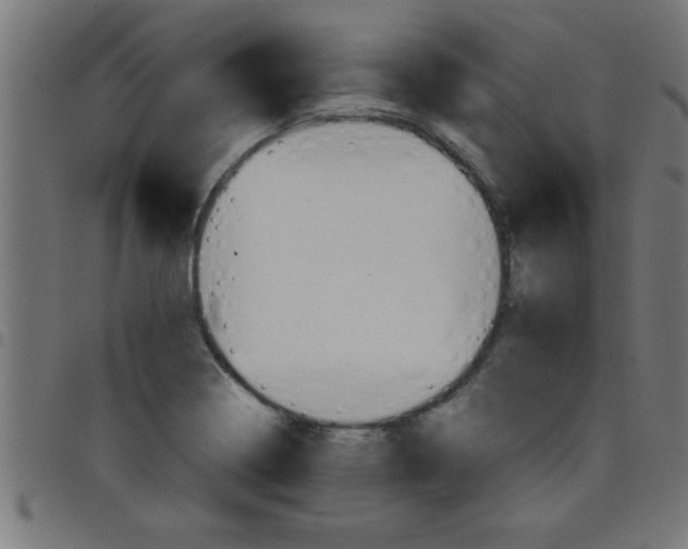 X0000098041322200804251030