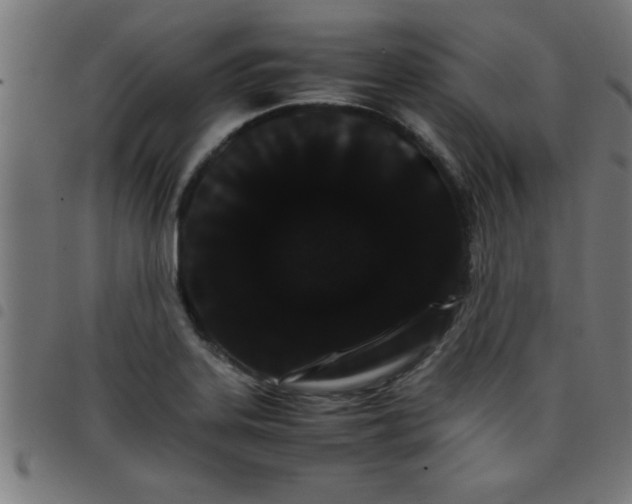 X0000098041323200804251030