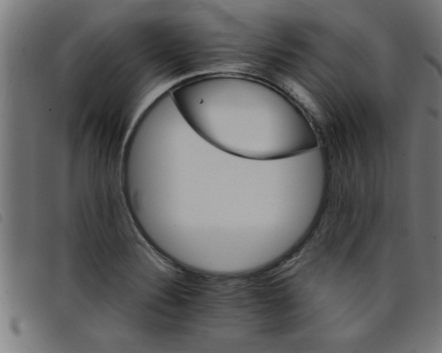 X0000098041324200804251030