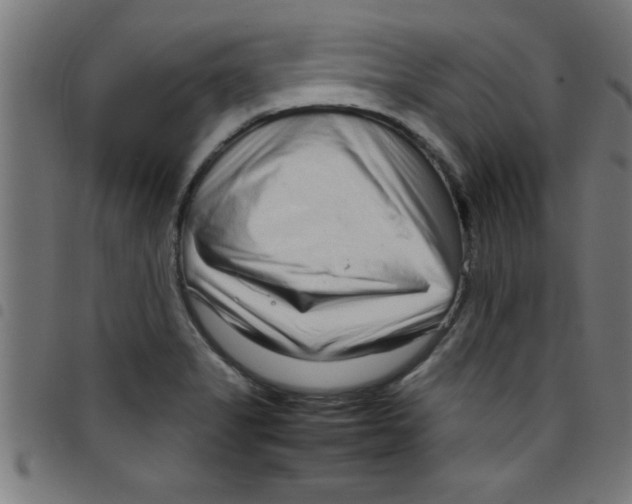 X0000098041325200804251030