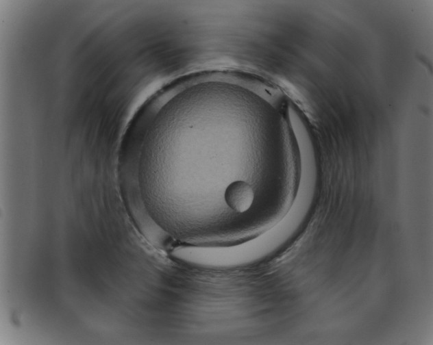 X0000098041326200804251030