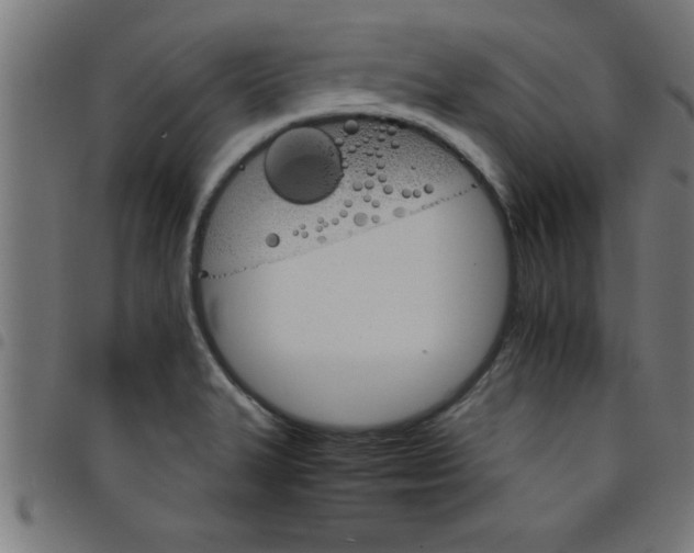 X0000098041327200804251030