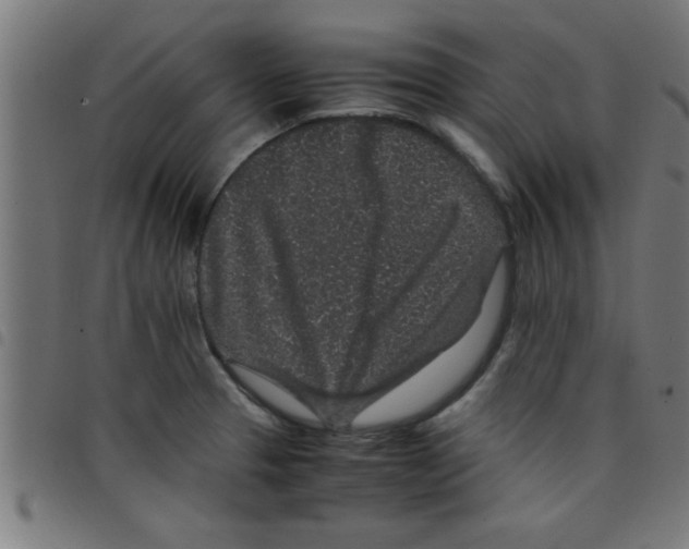 X0000098041329200804251030