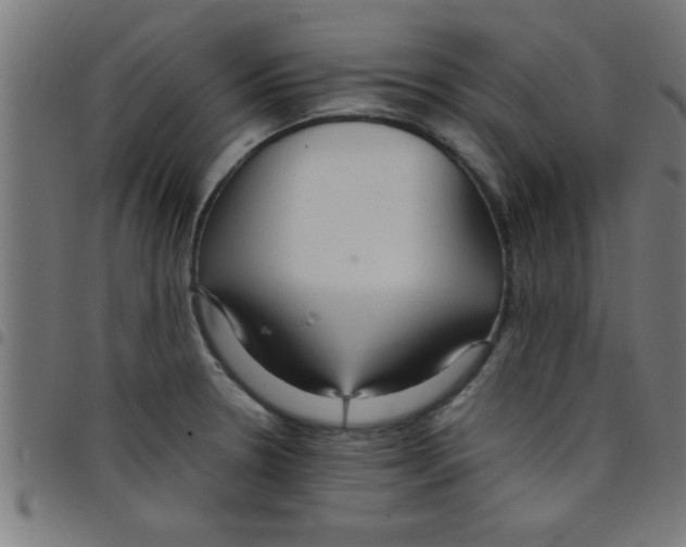 X0000098041330200804251030