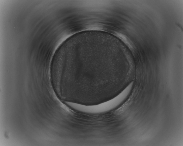 X0000098041331200804251030