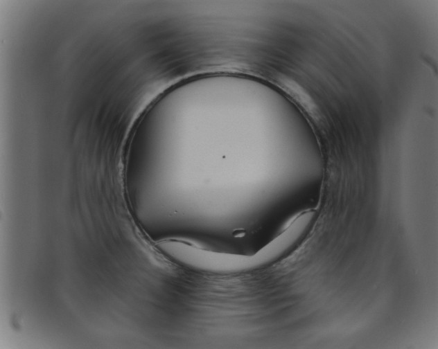 X0000098041332200804251030