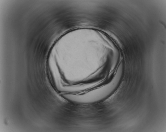 X0000098041333200804251030