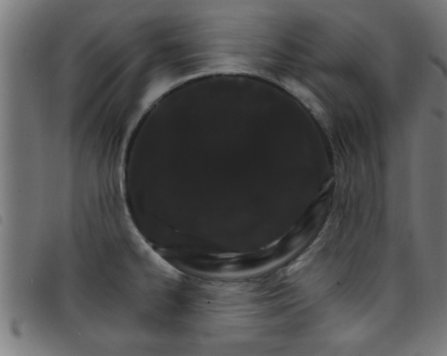 X0000098041334200804251030