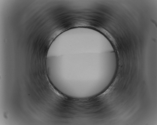 X0000098041337200804251030