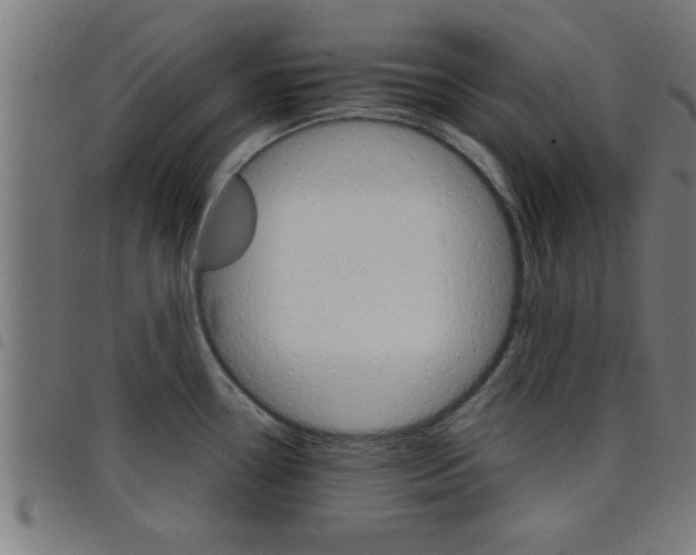 X0000098041338200804251030