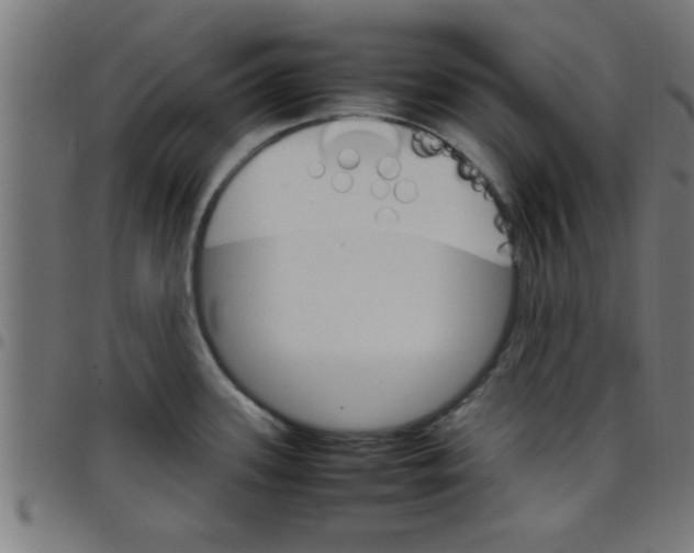 X0000098041339200804251030