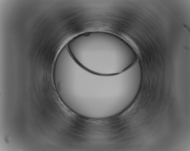 X0000098041340200804251030