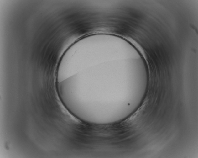 X0000098041341200804251030