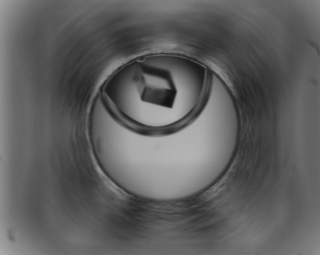 X0000098041342200804251030