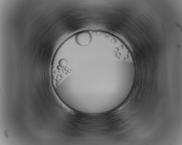 X0000098041343200804251030