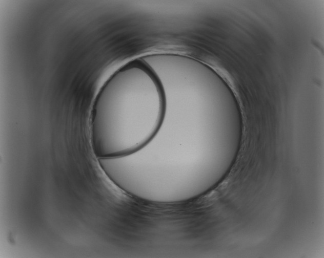 X0000098041344200804251030