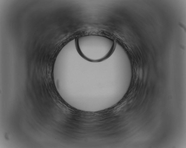 X0000098041348200804251030