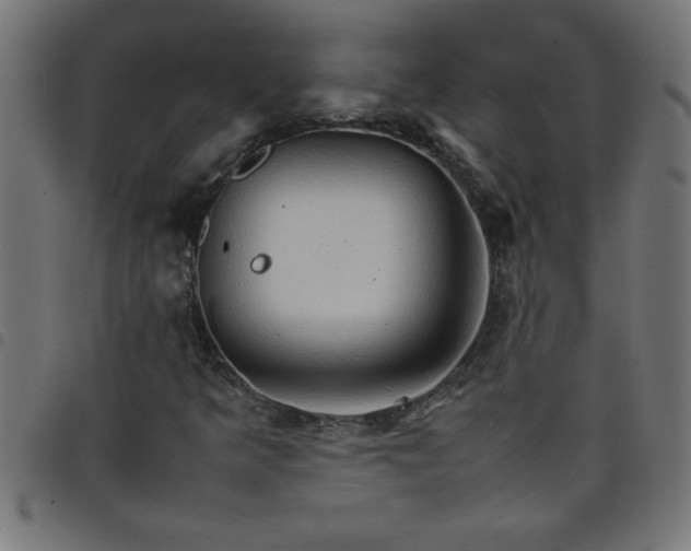 X0000098041349200804251030