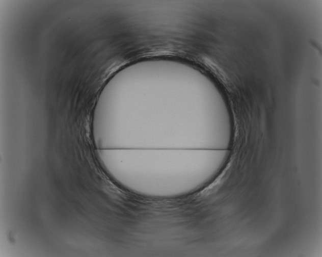 X0000098041353200804251029