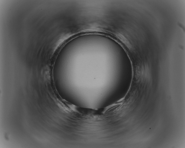 X0000098041356200804251029