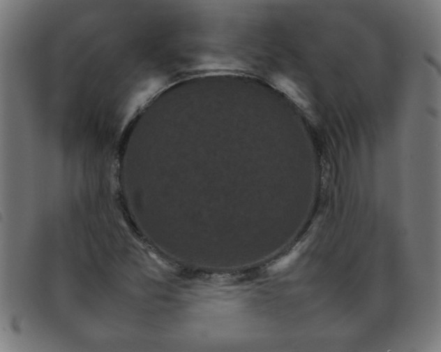 X0000098041357200804251029