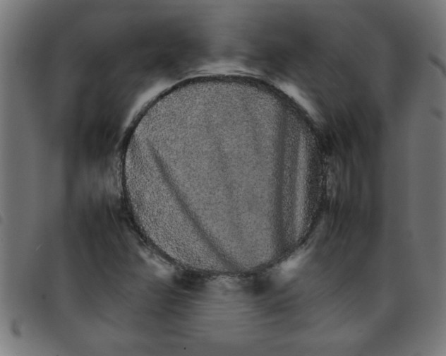 X0000098041358200804251029