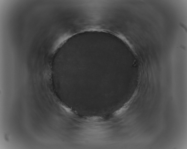 X0000098041359200804251029