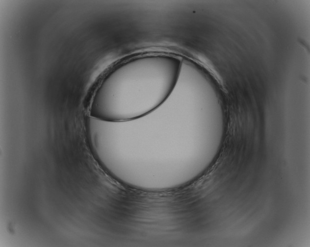 X0000098041360200804251029