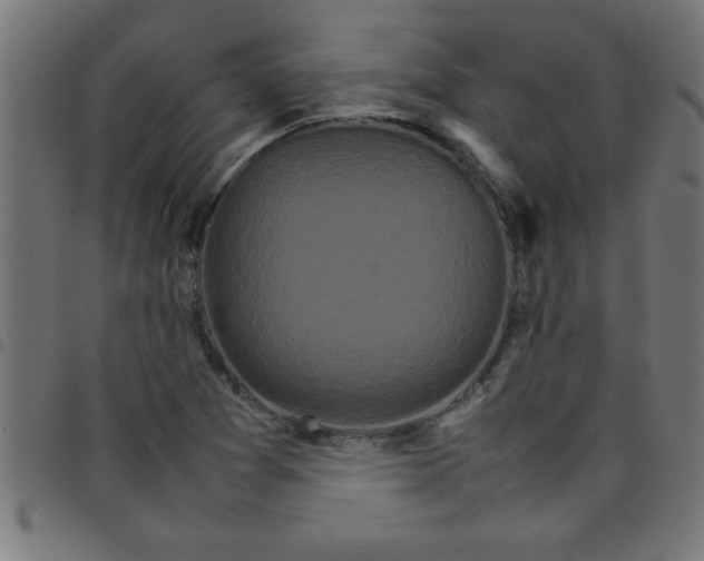 X0000098041361200804251029