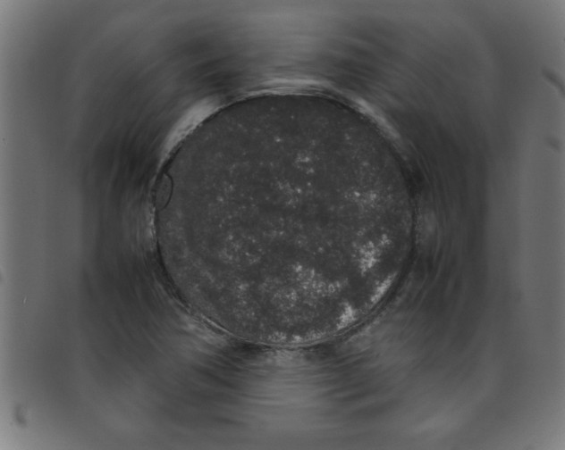 X0000098041362200804251029