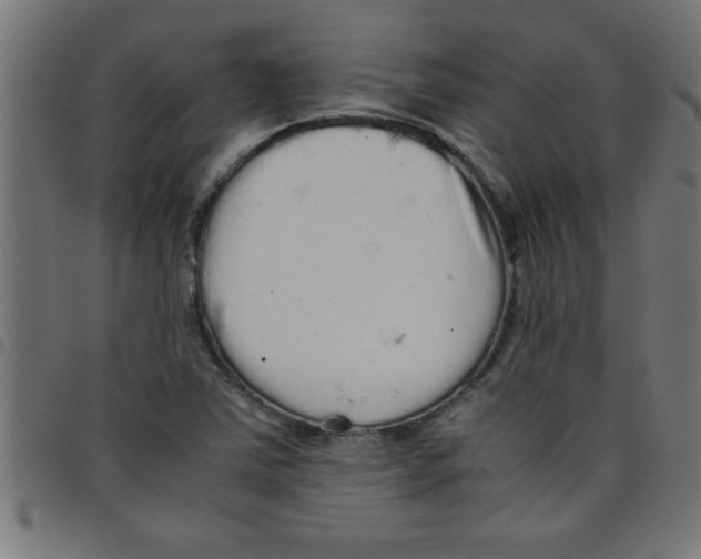 X0000098041363200804251029