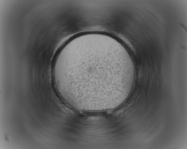 X0000098041364200804251029