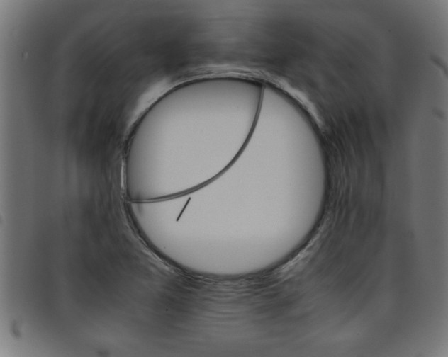 X0000098041365200804251029