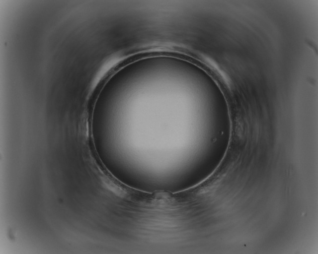 X0000098041368200804251029