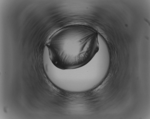 X0000098041369200804251029