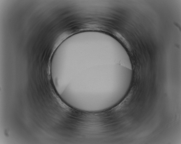 X0000098041370200804251029