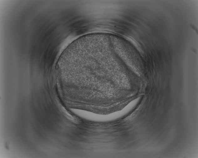 X0000098041371200804251029