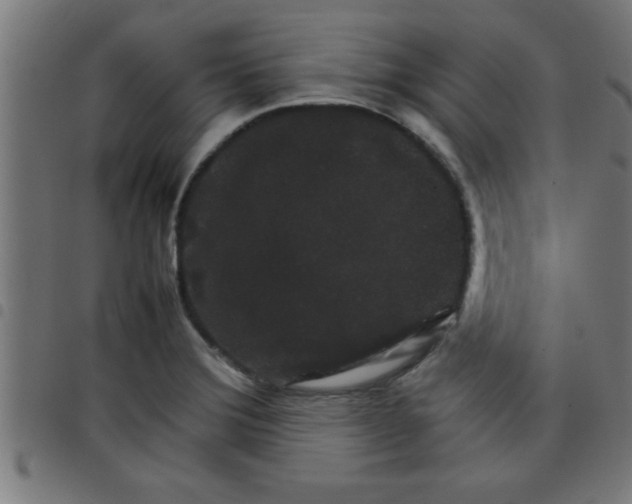 X0000098041372200804251029