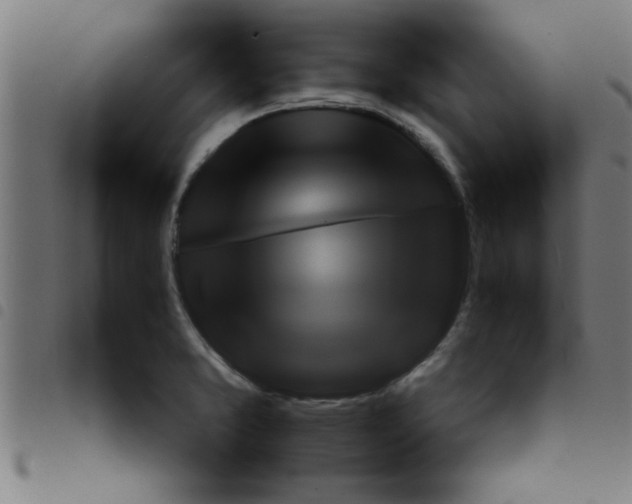 X0000098041373200804251029