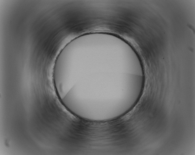 X0000098041374200804251029