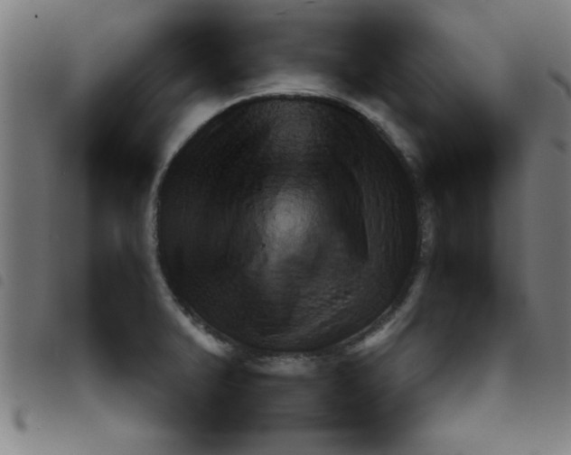 X0000098041375200804251029