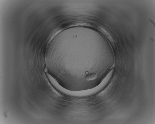 X0000098041377200804251029