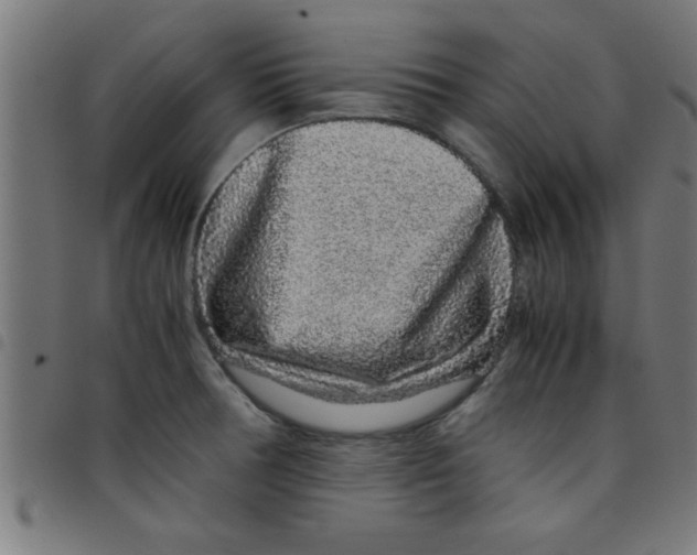 X0000098041378200804251029