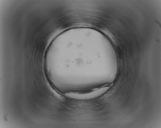 X0000098041379200804251029