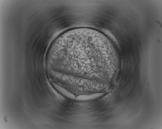 X0000098041380200804251029