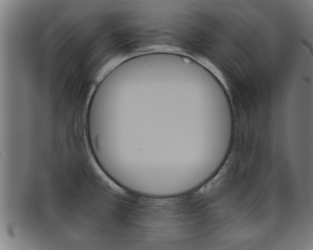 X0000098041381200804251029